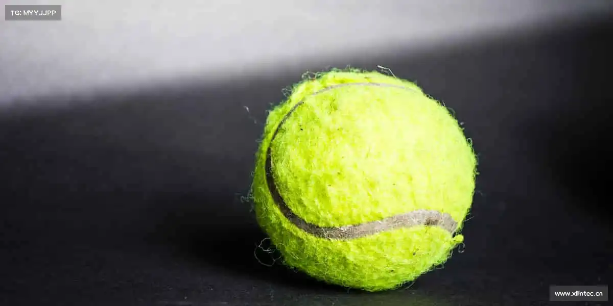 南宫NG28🌞阳光、汗水、笑容,运动让生活自带高光!